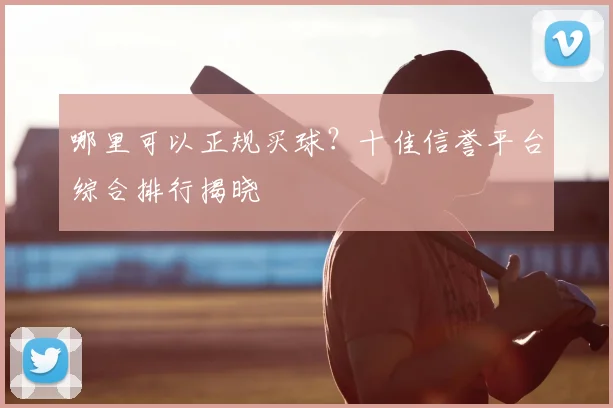 哪里可以正规买球？十佳信誉平台综合排行揭晓