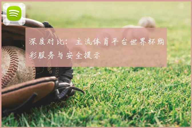 深度对比：主流体育平台世界杯购彩服务与安全提示