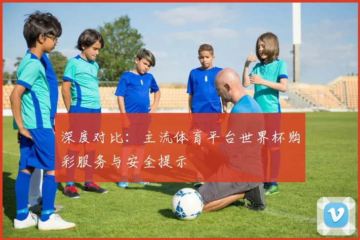 深度对比：主流体育平台世界杯购彩服务与安全提示
