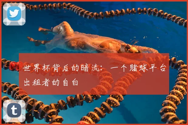 世界杯背后的暗流：一个赌球平台出租者的自白