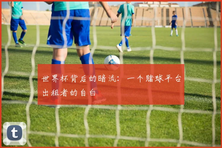 世界杯背后的暗流：一个赌球平台出租者的自白