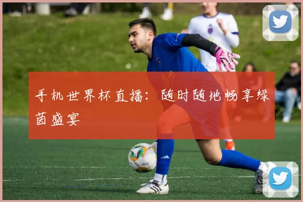 手机世界杯直播：随时随地畅享绿茵盛宴