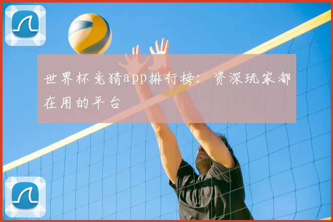 世界杯竞猜app排行榜：资深玩家都在用的平台