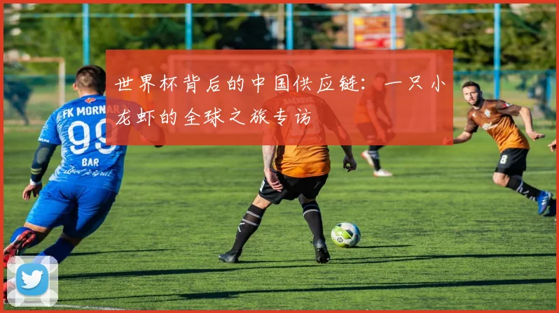 世界杯背后的中国供应链：一只小龙虾的全球之旅专访
