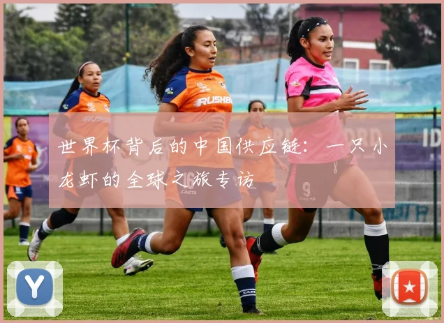 世界杯背后的中国供应链：一只小龙虾的全球之旅专访